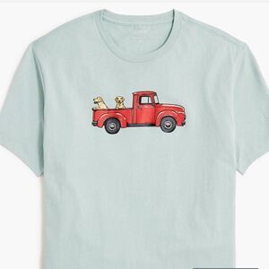 J. Crew Factory ca568 Mint Dogs in truck graphic tee size M. NWT-Flaw